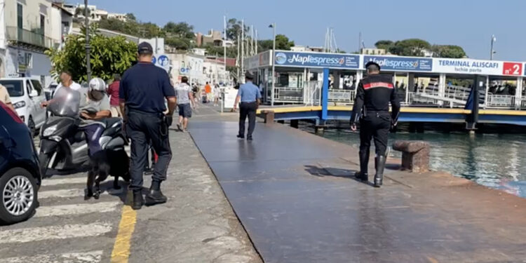 Ischia : Carabinieri arrestano un corteggiatore di uomini e donne ..