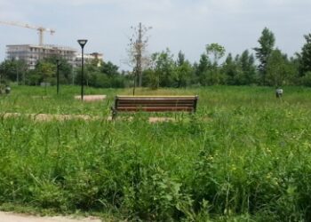 Frattamaggiore: Villa comunale di Via SiepeNuova, occasione mancata nella calura estiva