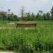Frattamaggiore: Villa comunale di Via SiepeNuova, occasione mancata nella calura estiva