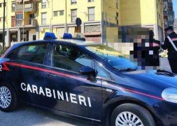 Pozzuoli: Box abusivi su aree pubbliche