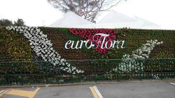 Euroflora, premio d’onore alla Regione Campania: riconosciuto il ruolo storico del florovivaismo regionale